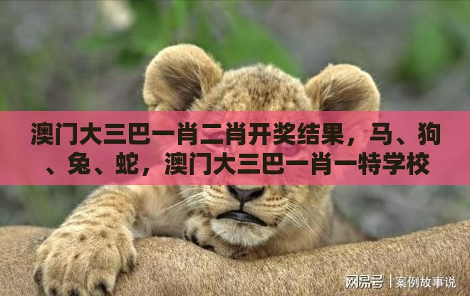 澳门大三巴一肖二肖开奖结果，马、狗、兔、蛇，澳门大三巴一肖一特学校宿舍条件详细解答、解释与落实,抵制欺骗承诺套路