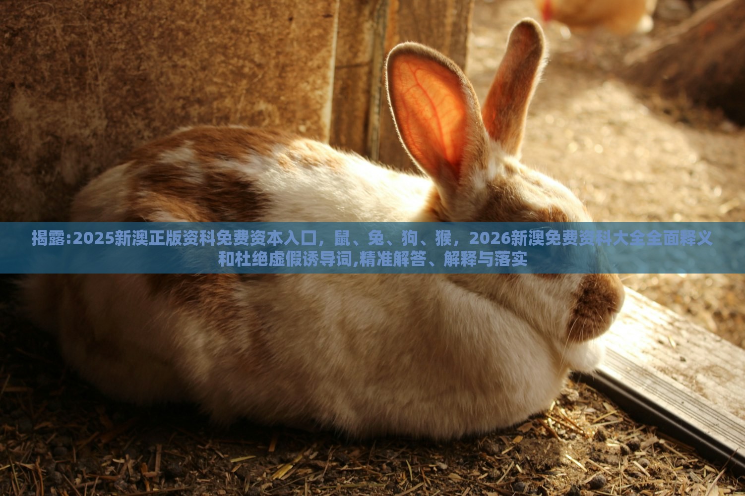 揭露:2025新澳正版资科免费资本入囗，鼠、兔、狗、猴，2026新澳免费资科大全全面释义和杜绝虚假诱导词,精准解答、解释与落实